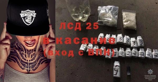 стафф Вяземский