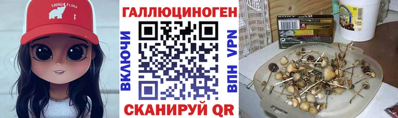 что такое наркотик  Лиски  Псилоцибиновые грибы Psilocybe 