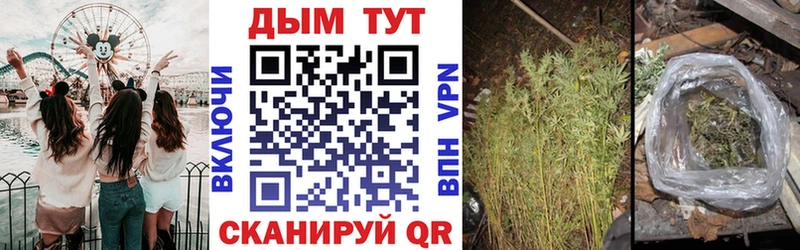Бошки Шишки Amnesia  что такое   Лиски 